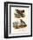 Pinnated Grouse, 1864-null-Framed Giclee Print