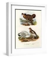 Pinnated Grouse, 1864-null-Framed Giclee Print