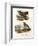 Pinnated Grouse, 1864-null-Framed Giclee Print