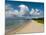 Pinney's Beach, Nevis, St. Kitts and Nevis, West Indies, Caribbean, Central America-Sergio Pitamitz-Mounted Photographic Print