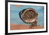 Pinon Nuts, an Important Food of Southwestern Native Americans, in a Pueblo Indian Pottery Bowl-null-Framed Giclee Print