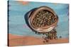 Pinon Nuts, an Important Food of Southwestern Native Americans, in a Pueblo Indian Pottery Bowl-null-Stretched Canvas