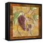 Pinot Noir Wine Grapes-Megan Aroon Duncanson-Framed Stretched Canvas