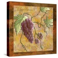 Pinot Noir Wine Grapes-Megan Aroon Duncanson-Stretched Canvas