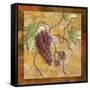 Pinot Noir Wine Grapes-Megan Aroon Duncanson-Framed Stretched Canvas