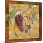 Pinot Noir Wine Grapes-Megan Aroon Duncanson-Mounted Art Print