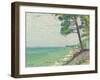 Pins au Pyla-Albert Marquet-Framed Giclee Print