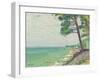 Pins au Pyla-Albert Marquet-Framed Giclee Print