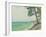 Pins au Pyla-Albert Marquet-Framed Giclee Print