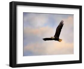 Pinson Mounds Eagle 1-Jai Johnson-Framed Premium Giclee Print