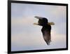 Pinson Mounds Eagle 2-Jai Johnson-Framed Giclee Print