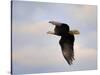 Pinson Mounds Eagle 2-Jai Johnson-Stretched Canvas