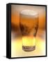 Pint of Beer-Victor De Schwanberg-Framed Stretched Canvas