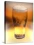 Pint of Beer-Victor De Schwanberg-Stretched Canvas