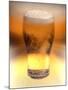 Pint of Beer-Victor De Schwanberg-Mounted Photographic Print