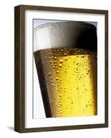 Pint of Cold Lager Beer with Foam Head-Steve Lupton-Framed Photographic Print