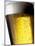 Pint of Cold Lager Beer with Foam Head-Steve Lupton-Mounted Photographic Print