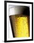 Pint of Cold Lager Beer with Foam Head-Steve Lupton-Framed Photographic Print