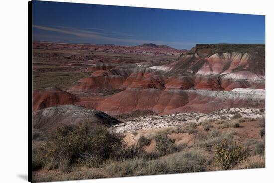 Pintado Point at Painted Desert, Part of the Petrified Forest National Park-Kymri Wilt-Stretched Canvas