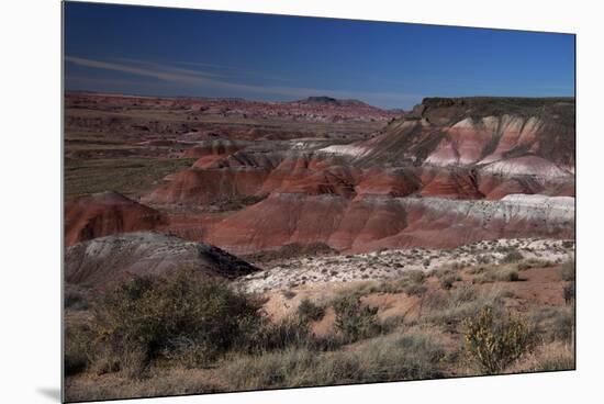 Pintado Point at Painted Desert, Part of the Petrified Forest National Park-Kymri Wilt-Mounted Premium Photographic Print