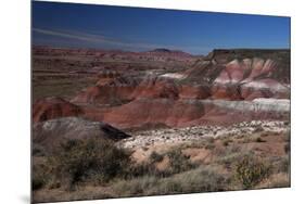 Pintado Point at Painted Desert, Part of the Petrified Forest National Park-Kymri Wilt-Mounted Premium Photographic Print