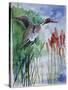 Pintail Duck-Sir Roy Calne-Stretched Canvas