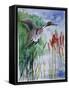 Pintail Duck-Sir Roy Calne-Framed Stretched Canvas