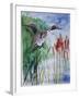 Pintail Duck-Sir Roy Calne-Framed Giclee Print