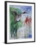 Pintail Duck-Sir Roy Calne-Framed Giclee Print