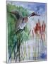 Pintail Duck-Sir Roy Calne-Mounted Giclee Print