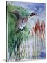 Pintail Duck-Sir Roy Calne-Stretched Canvas