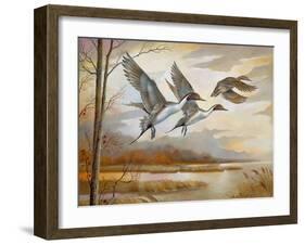 Pintails-Ruane Manning-Framed Art Print