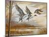 Pintails-Ruane Manning-Mounted Art Print