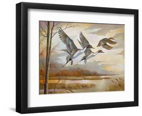 Pintails-Ruane Manning-Framed Art Print