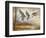 Pintails-Ruane Manning-Framed Art Print