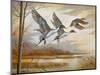 Pintails-Ruane Manning-Mounted Art Print