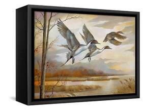 Pintails-Ruane Manning-Framed Stretched Canvas