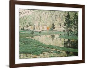 Pinte Meadow-J^ Corsi-Framed Limited Edition