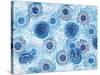 Pinto and Buffalo Flowers Blue-Kellie Day-Stretched Canvas