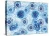 Pinto and Buffalo Flowers Blue-Kellie Day-Stretched Canvas