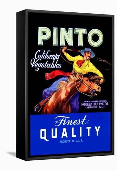 Pinto California Vegetable-null-Framed Stretched Canvas