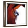 Pinto-Ray Hartl-Framed Giclee Print