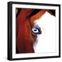 Pinto-Ray Hartl-Framed Giclee Print