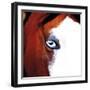 Pinto-Ray Hartl-Framed Giclee Print