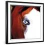 Pinto-Ray Hartl-Framed Giclee Print