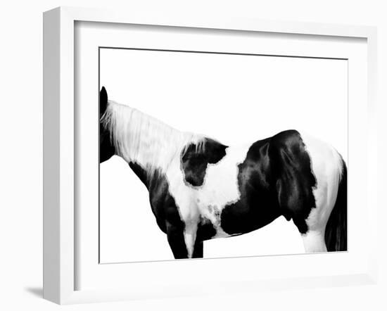 Pinto-Samantha Carter-Framed Art Print