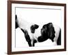 Pinto-Samantha Carter-Framed Art Print