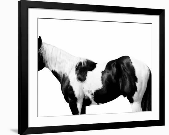 Pinto-Samantha Carter-Framed Art Print