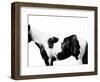 Pinto-Samantha Carter-Framed Art Print