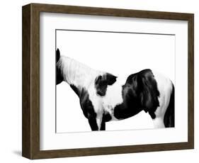 Pinto-Samantha Carter-Framed Art Print